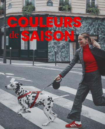 LES COULEURS PHARES DE L'AUTOMNE