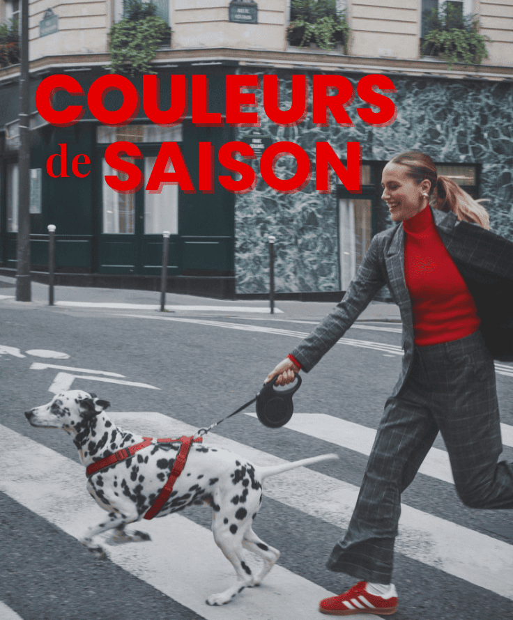 LES COULEURS PHARES DE L'AUTOMNE